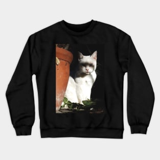 Creepy White Cat Crewneck Sweatshirt